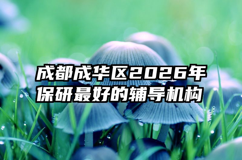 成都成华区2026年保研最好的辅导机构