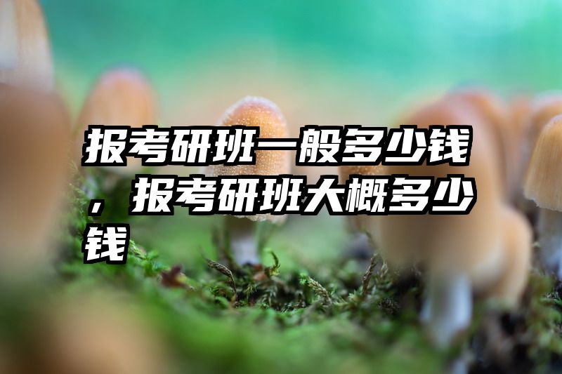 报考研班一般多少钱，报考研班大概多少钱