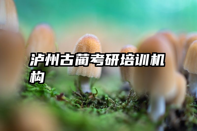 泸州古蔺考研培训机构