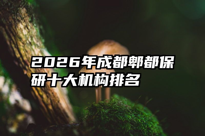 2026年成都郫都保研十大机构排名